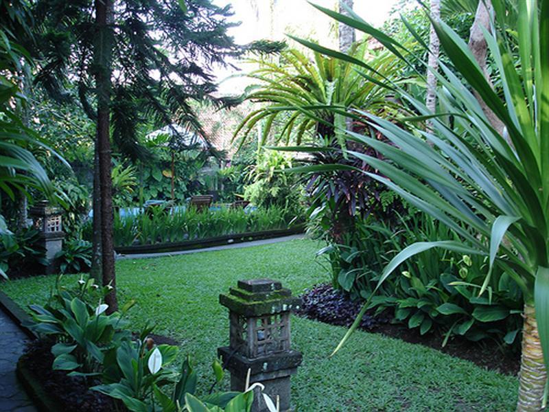 Adi Cottage Ubud Zewnętrze zdjęcie